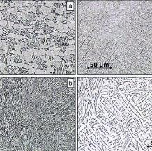 Microstructure Report